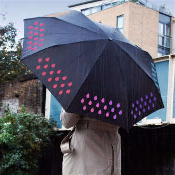 Colour-Changing Umbrella - Image 2