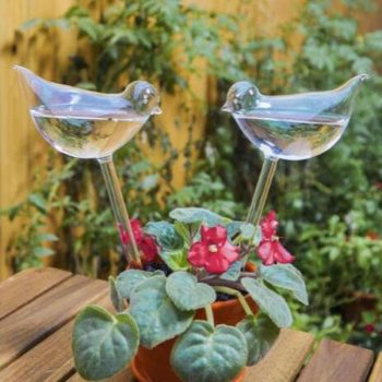 Self-Watering Plant Glass Bulbs (2Pcs) - Image 3