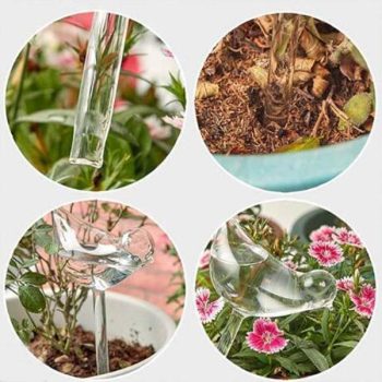 Self-Watering Plant Glass Bulbs (2Pcs) - Image 4