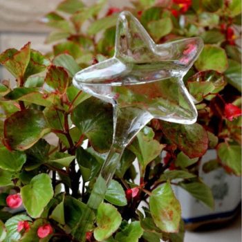 Self-Watering Plant Glass Bulbs (2Pcs) - Image 7