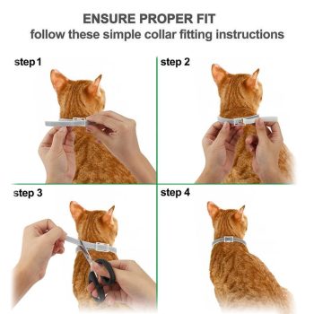 Pro Guard Flea and Tick Collar for Cats - Image 2