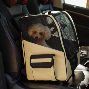 Breathable Pet Stroller Backpack - Image 7