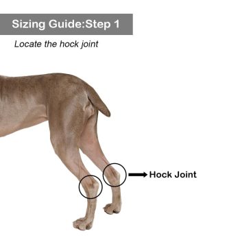 Dog Leg Brace - Image 6