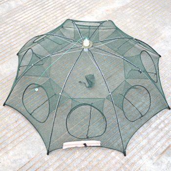 Fish Trap - Image 4