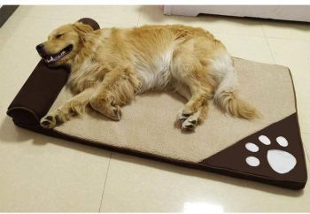 Dog Beds for Large Dogs - Image 10