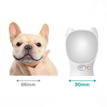 Portable Pet Dog Water Dispenser Feeder For Small Large Dogs - Image 5
