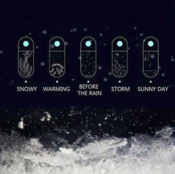 Storm Glass Weather Predicting Forecast Bottle Crystal Desktop Barometer With Wooden Base - Image 2