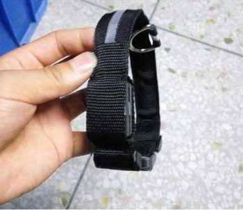 Glowing LED Dog Collar Light - Image 11