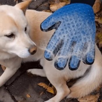 Pet Grooming Gloves - Hair Removing Mitts for Dogs and Cats - Image 3
