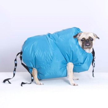 Fluffy Puppy Dryer - Image 12