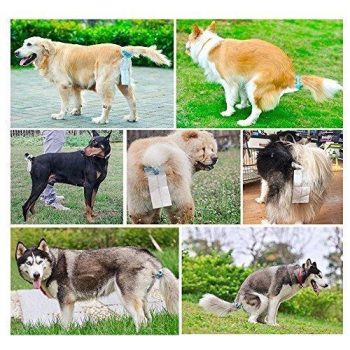 Best Seller Tail Holder Hands Free Pet Faeces Container - Image 5