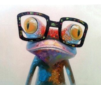 Geeky Frog DIY Painting By Number Kit