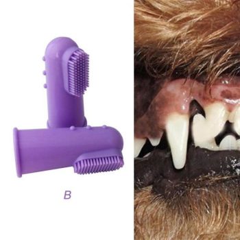 Dog Finger Toothbrush - Image 2