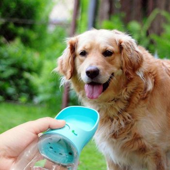 Portable Pet Water Bottle - Image 22