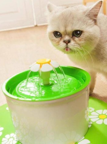 Cute Pet Water Drinking Fountain - Image 7