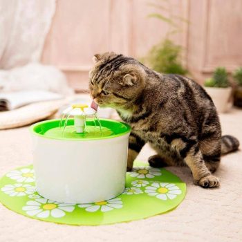 Cute Pet Water Drinking Fountain - Image 10