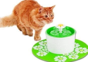 Cute Pet Water Drinking Fountain - Image 11