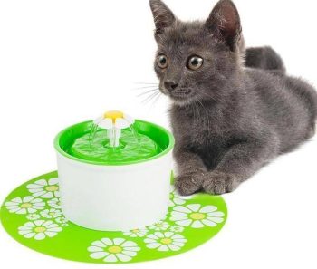 Cute Pet Water Drinking Fountain - Image 4