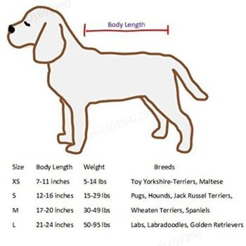 Easy After Bath Dog Dryer - Image 9