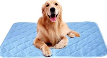 Pet Cooling Mat Blanket