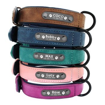 Personalized Name Dog Collars-Leather
