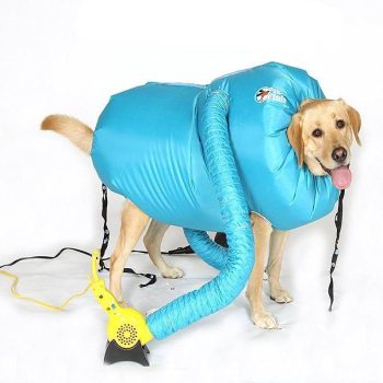 Easy After Bath Dog Dryer