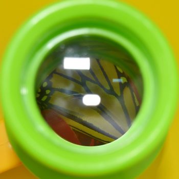 Insect Magnifier Microscope Catching Kit - Image 4