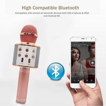 Wireless Karaoke Microphone | Party everywhere - Image 2