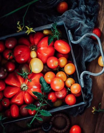 Rectangular Antique Iron Serving Trays - Image 5
