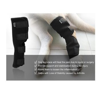 Dog Knee Brace - Image 4