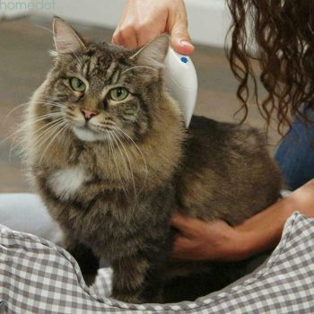 Electric Dog Flea Comb Cleaning Brush - Image 7