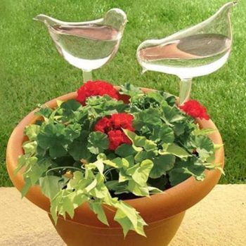 Self-Watering Plant Glass Bulbs (2Pcs) - Image 5